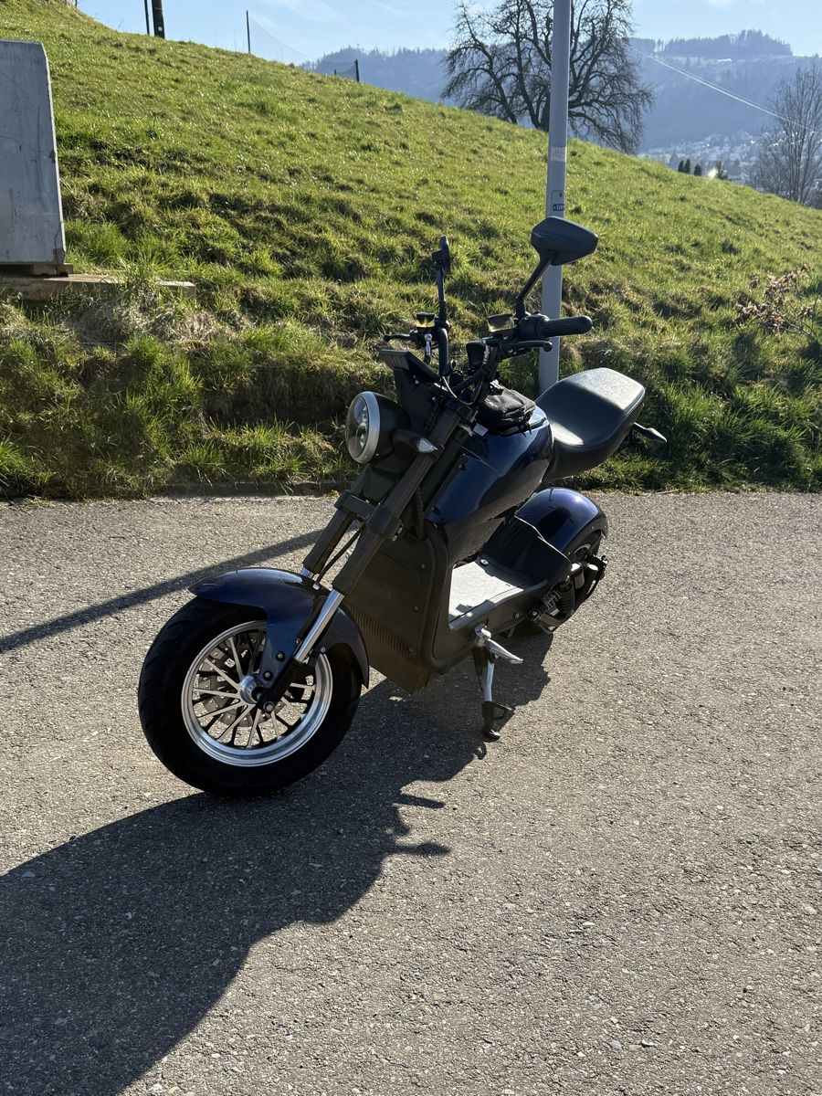 Chopper: City Max RR – Nuovo (secondo la descrizione) da thalwil venduto da Ray7211 4