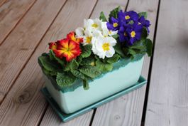 eckiger Blumentopf/Pflanzentopf/Tontopf/ inkl. Untersetzer