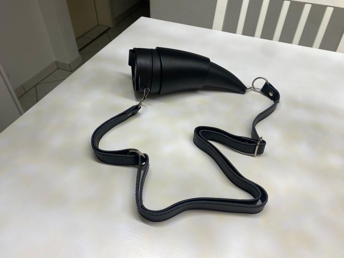 Borracce & Thermos: Praktische Trinkflasche mit Horn-Design - – Usato da Haag (Rheintal) venduto da 2026Top 1