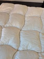 Duvet 160/210 plumes d oie