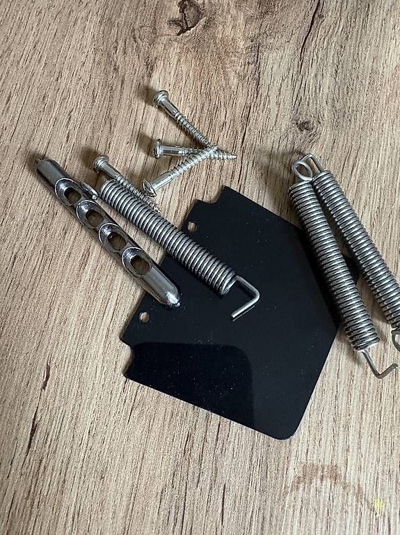 Strumenti musicali: Floyd Rose Rail Tail Tremolo – Usato da Brügg BE venduto da Mathys1 3