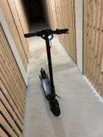 E-Scooter Vmax VX2 (20 km/h, 1 x 500 W, 40 km) Jahrgang 2022