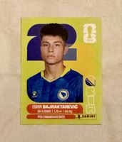 Panini WM 2026!!! BIH 15