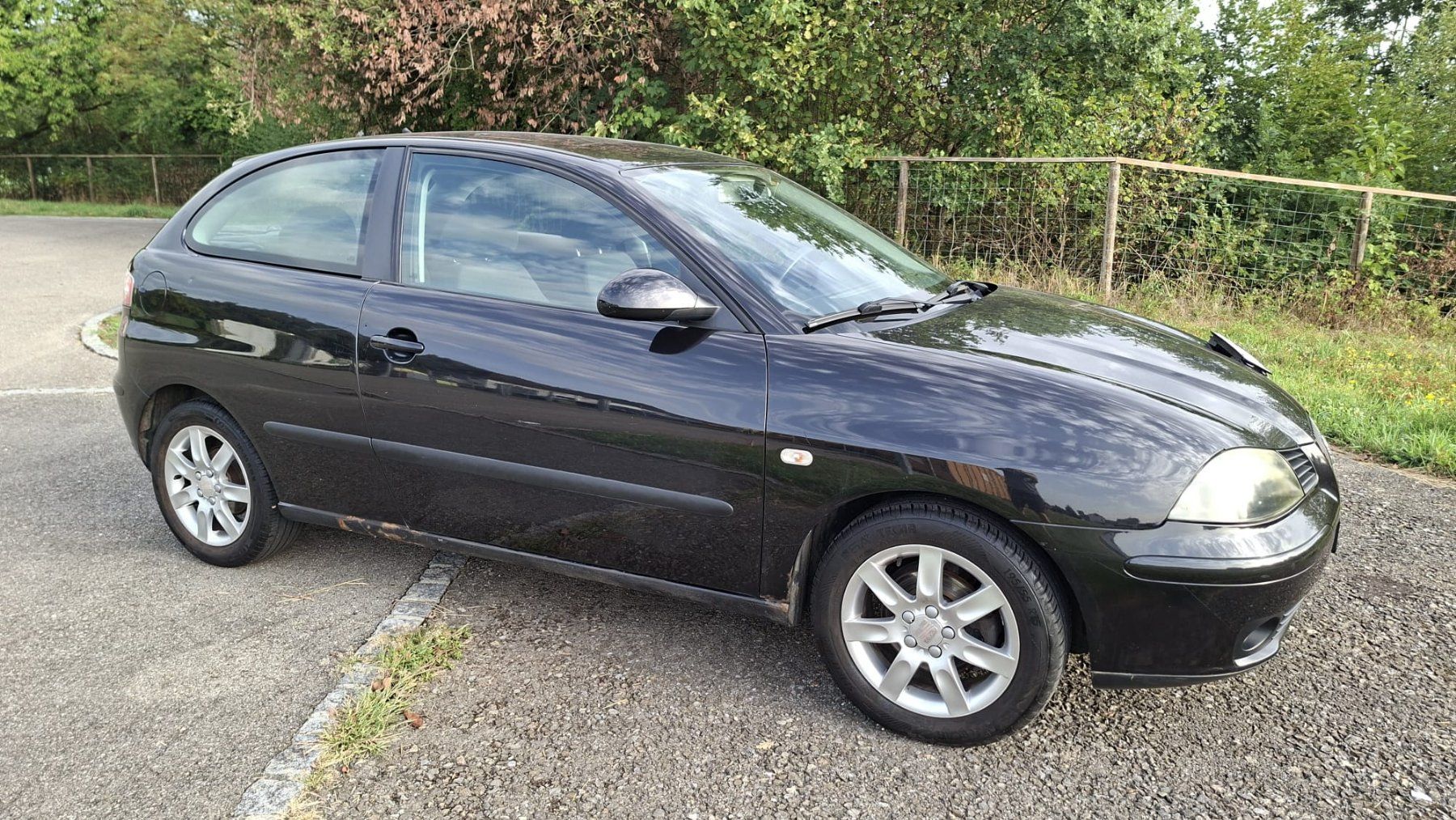 Seat Automobili: Seat Ibiza 1.4 – Usato da Schöftland venduto da kavali 3