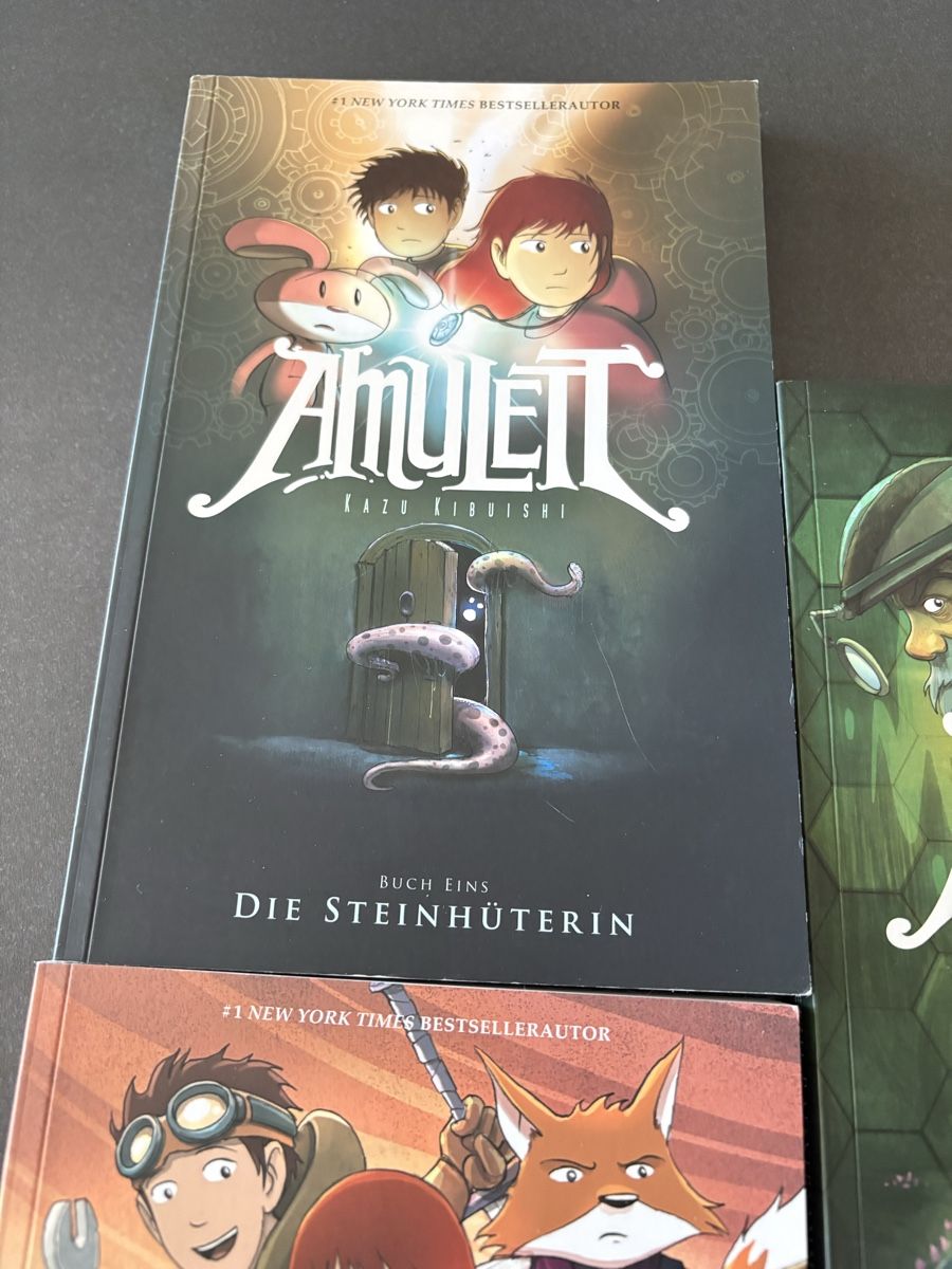 Livres: Bücherreihe AMULETT 1-9 – D'occasion à Fehren par Frischki 3