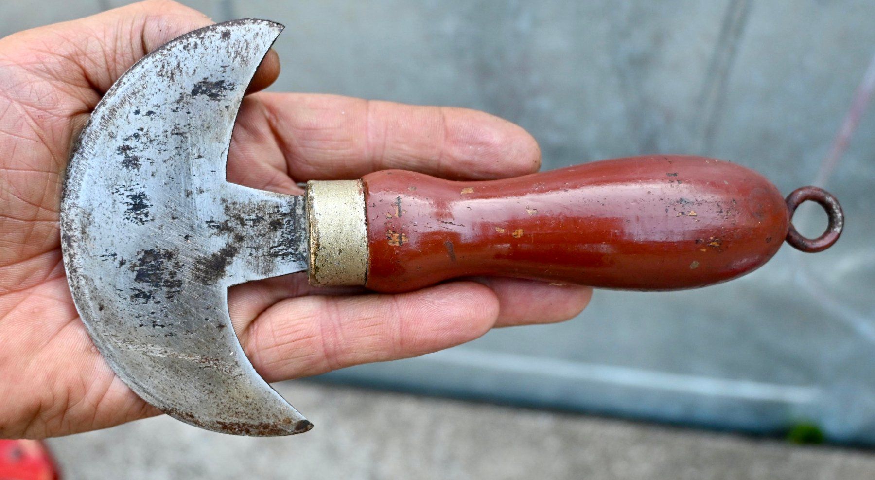 Sattler Tutti gli attrezzi: antikes Halbmondmesser - Sattlermesser länge 19cm – Usato da Pfaffhausen venduto da mono_rec