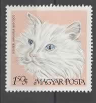 Alle Briefmarken: UNGARN : weisse Katze  (3 – Gebraucht aus Ruggell von Masescha