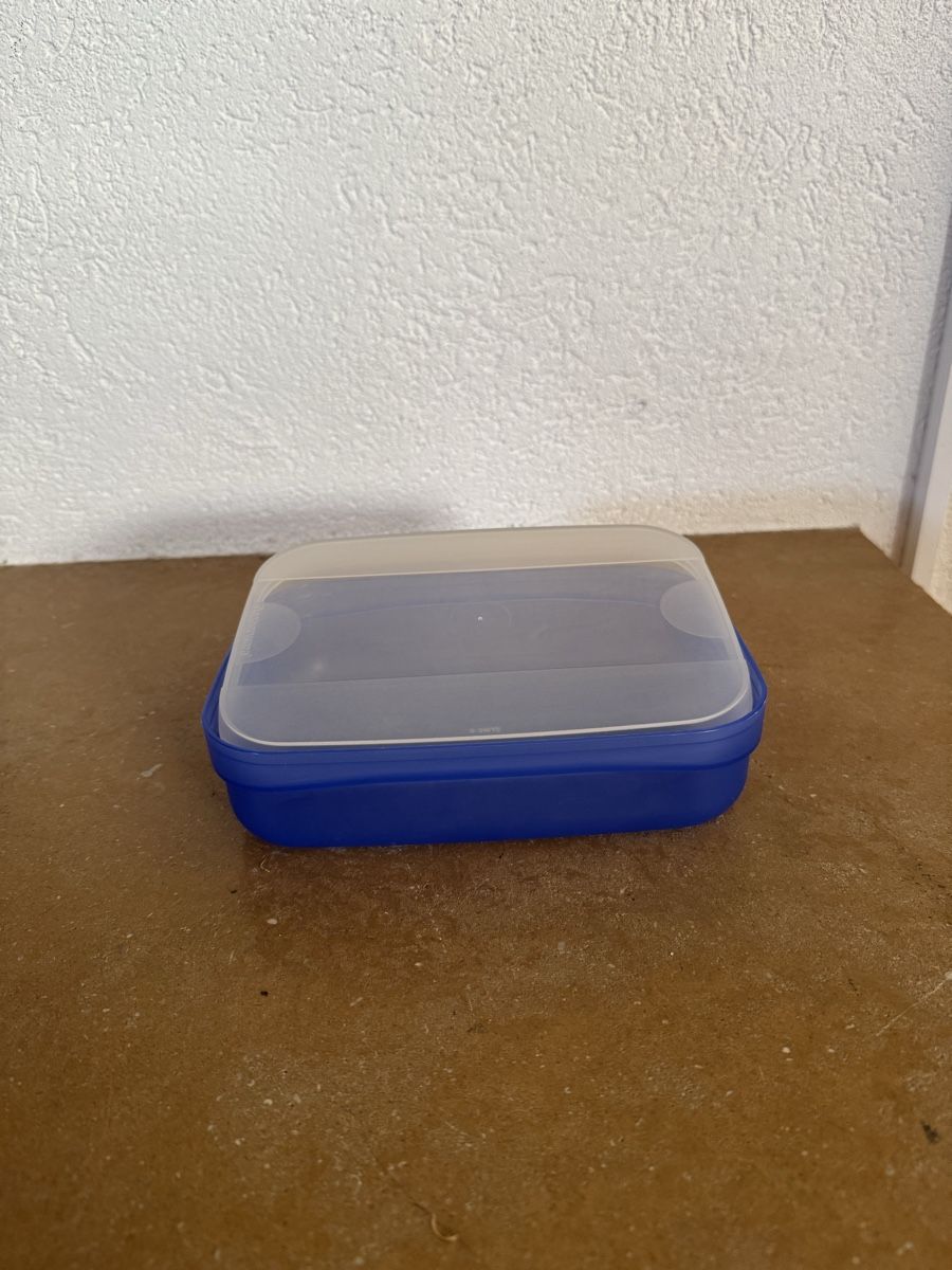 Tupperware Contenitori & Simili: Swing-Box plat Tupperware – Nuovo (secondo la descrizione) da Montsevelier venduto da ber_88db 1