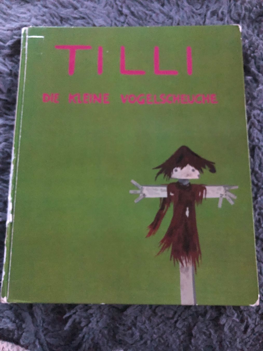 Libri: Bilderbuch; Tilli die kleine Vogelscheuche – Usato da Hinwil venduto da dadalina76