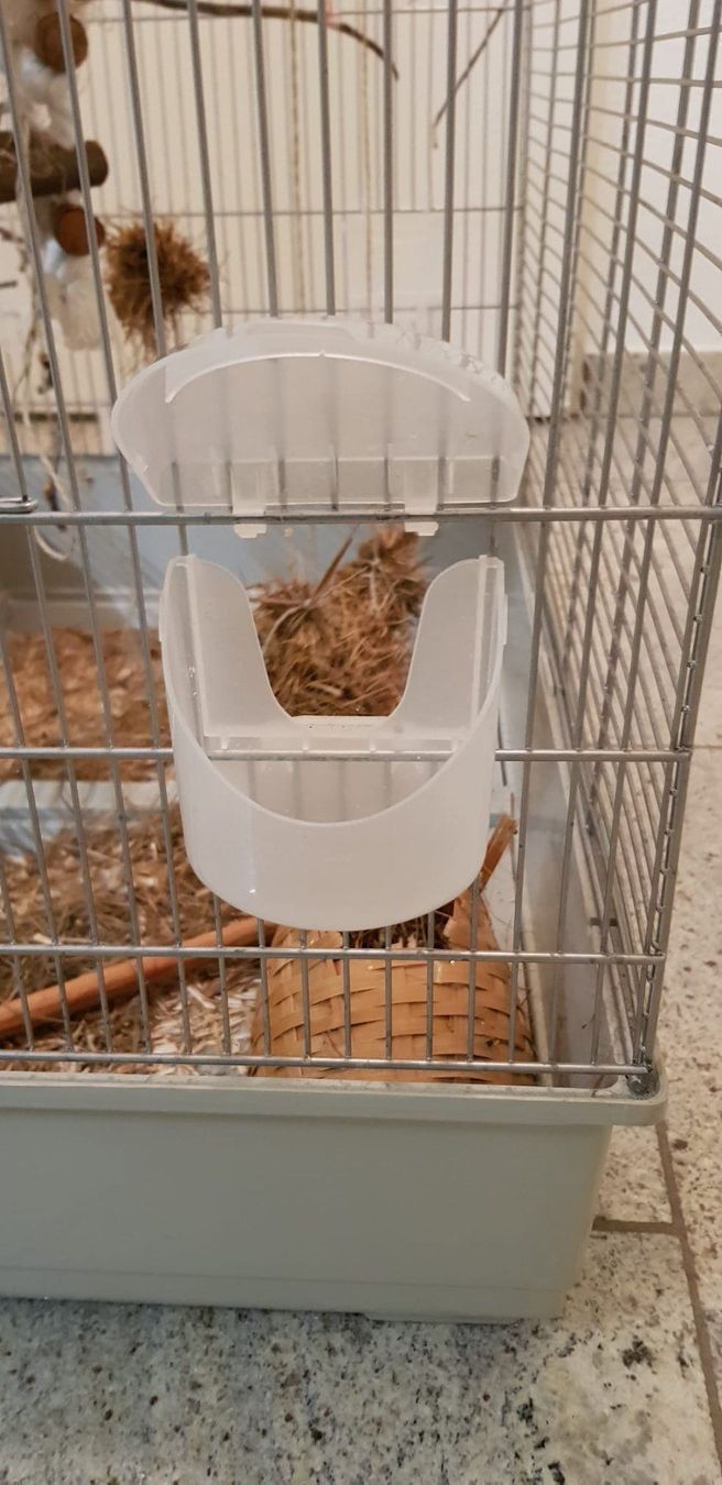 Casette per uccelli: Grosser Vogelkäfig – Usato da Brütten venduto da Diana098 2