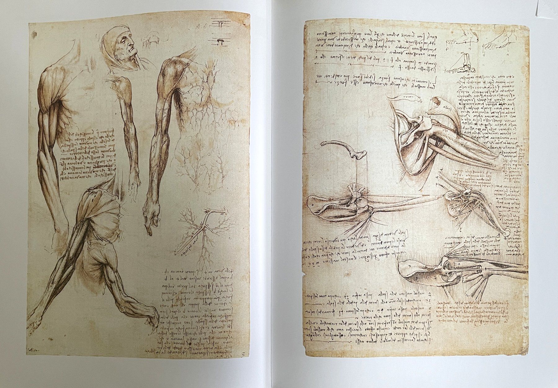 Libri: Leonardo Da Vinci - Von Daniel Arasse – Usato da Savagnier venduto da Ne2065 6