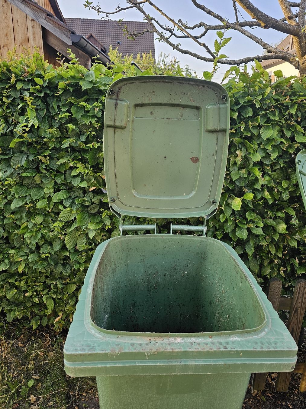 Altro per Ufficio & Commercio: Grüngutcontainer – 240L – Usato da Seuzach venduto da hwulf 1