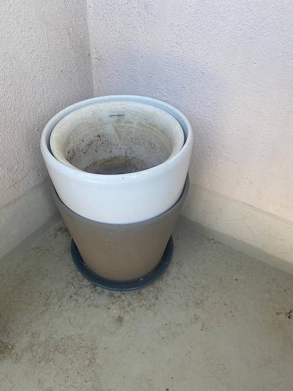Vasi per fiori: Pots de fleurs dont un avec lavande, différentes tailles – Usato da Pully venduto da K_Kuhn 1