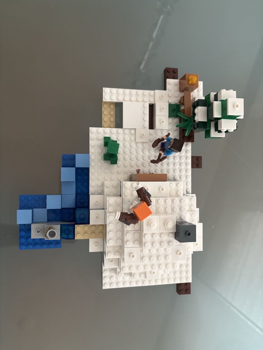 Lego Kit di costruzioni: Lego Minecraft Das Schneeversteck - 21120 – Usato da Weiningen ZH venduto da GriederRemarket 3