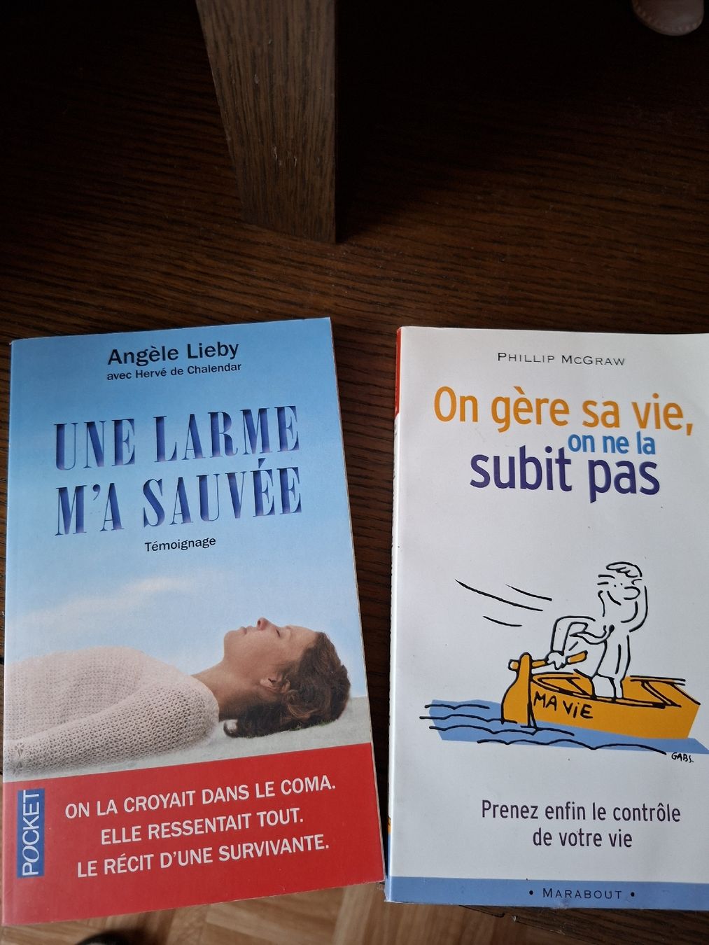 Bücher: 2 livres – Neu (gemäss Beschreibung) aus Cournillens von masoeur