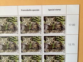 20x Fr. -.85 Briefmarken Frankatur Europäische Wildkatze