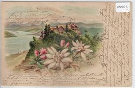 Uetliberg am Zürichsee - Litho