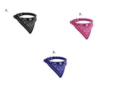 Katzenhalsband , kleines Hundehalsband