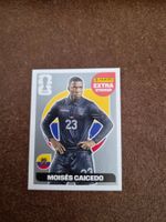 Panini extra sticker Caicedo silver