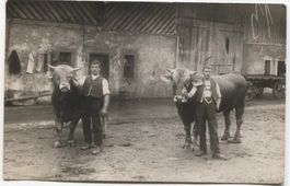 LANDWIRSCHAFT/BAUER MIT STIER 1920 SG/AR?