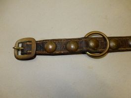 Antikes Hundehalsband