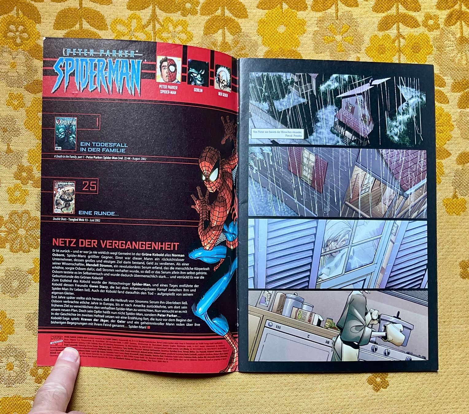 Fumetti: Peter Parker Spider-Man Heft Nr 29 von 2003 – Usato da Endingen venduto da nathan05 1