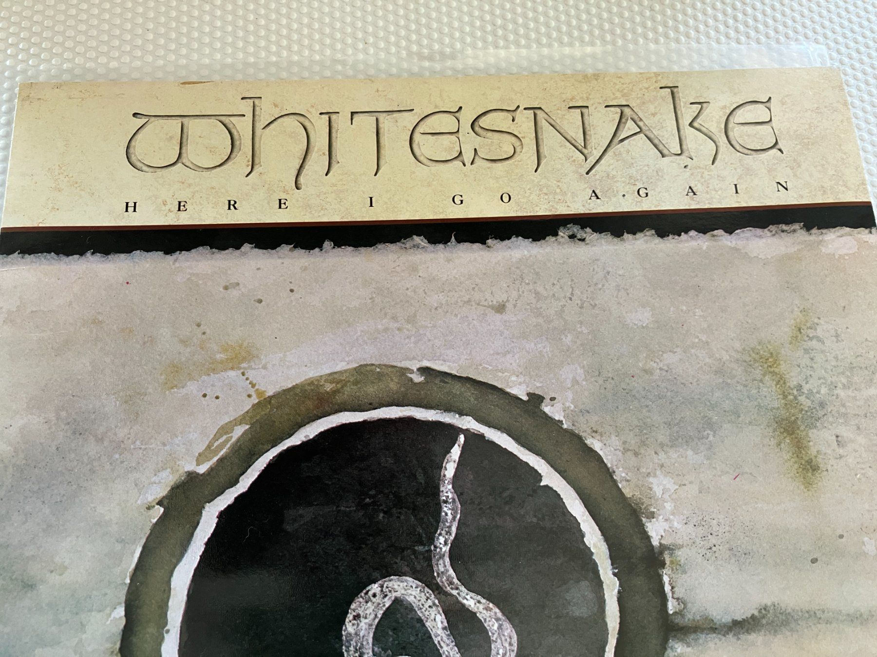 Dischi in vinile: Whitesnake – Usato da Aarwangen venduto da Jukebox3 1