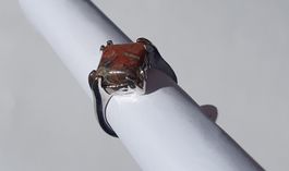 Ring mit rot-braunem Stein Gr. 17 *NEU*
