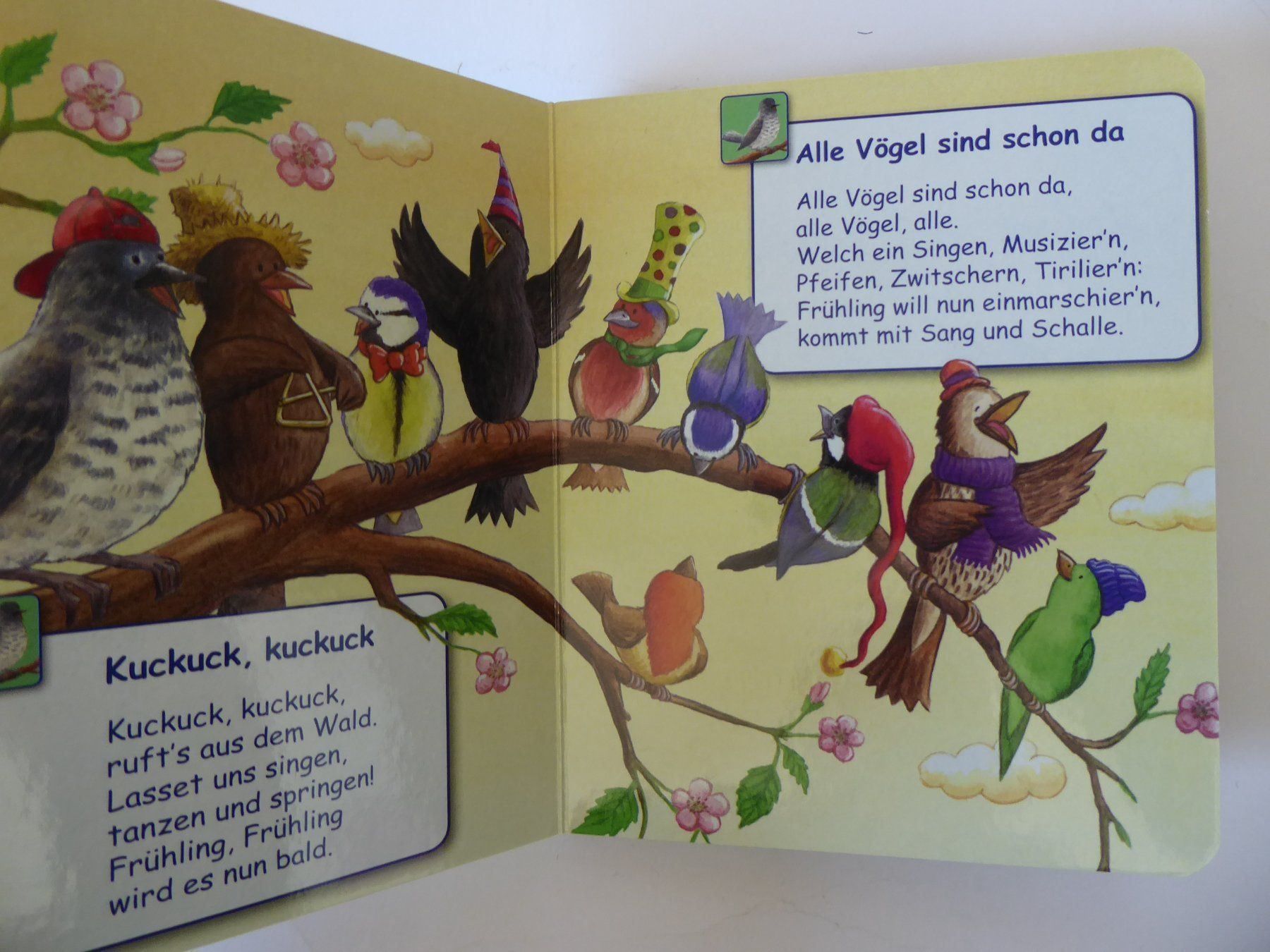 Libri: Meine Kinderlieder, Phoenix, 15 beliebte Kinderlieder – Usato da Turbenthal venduto da Panau 2