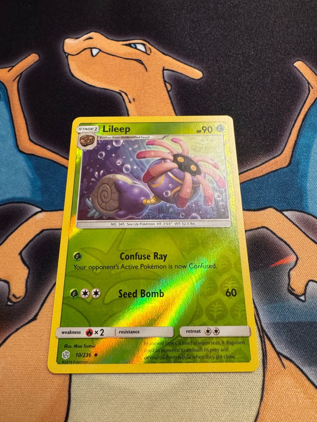 Pokémon Carte collezionabili: Lileep (CEC 10) - Reverse Holo - Cosmic Eclipse – Nuovo (secondo la descrizione) da Bülach venduto da Pfrenzel