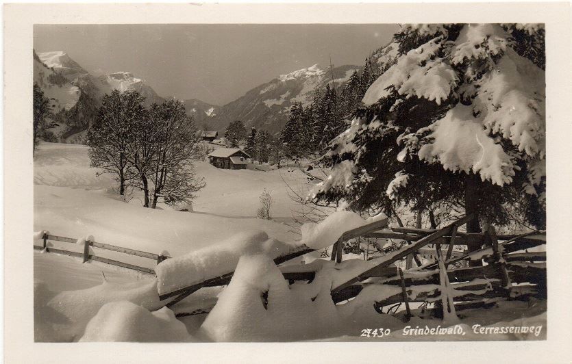 Cartoline postali: GRINDELWALD Terrassenweg – Usato da Jona venduto da philajona
