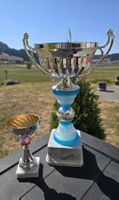 Pokale 2 Stck. Silber Optik mit Sockel gut erhalten