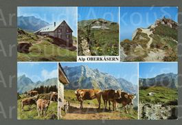 AK color Amden SG Alp Oberkäsern, 6-Bild ≈ 1996