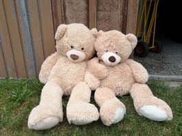Zwei Teddybäre gross