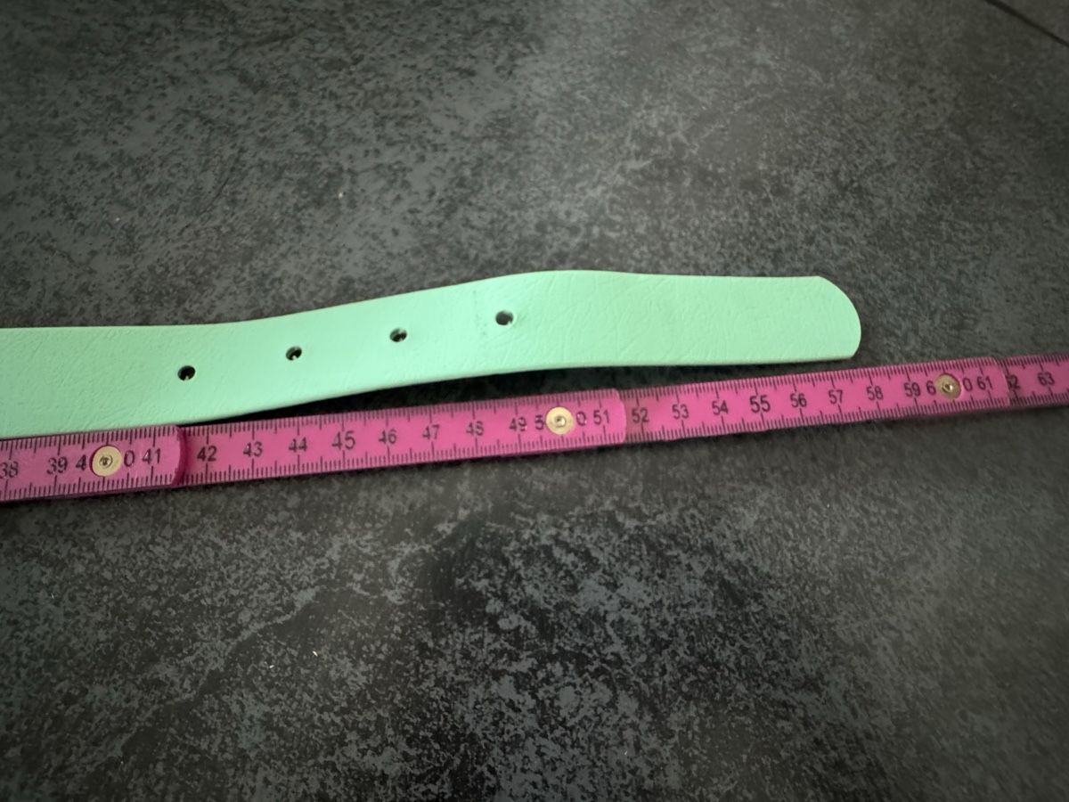 Leine & Halsband: Hundehalsband Grün – Neu und originalverpackt aus Niederglatt ZH von vul_v86c 1