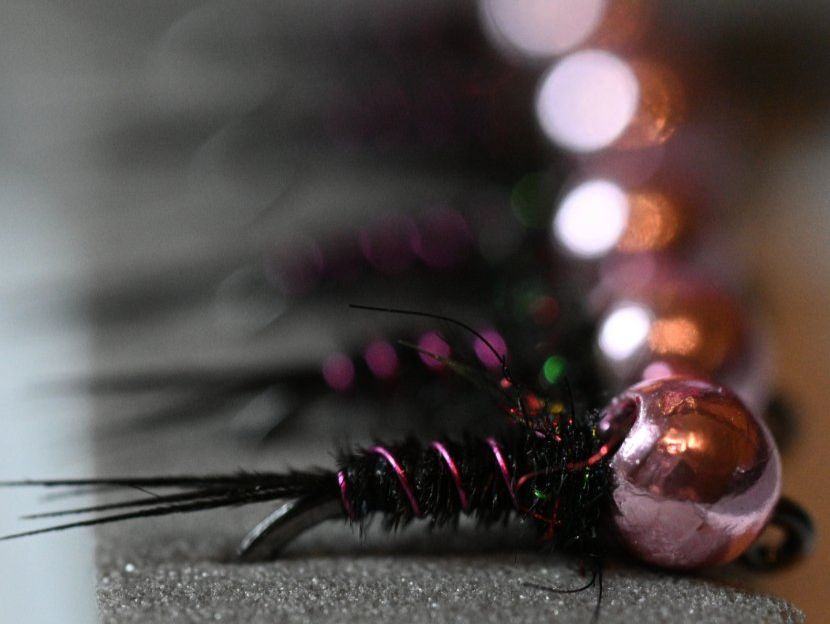 Esche: 1x Secret Dark Pheasant Tail - #16 / 3mm – Usato da Degersheim venduto da HookedOnTheFly 1