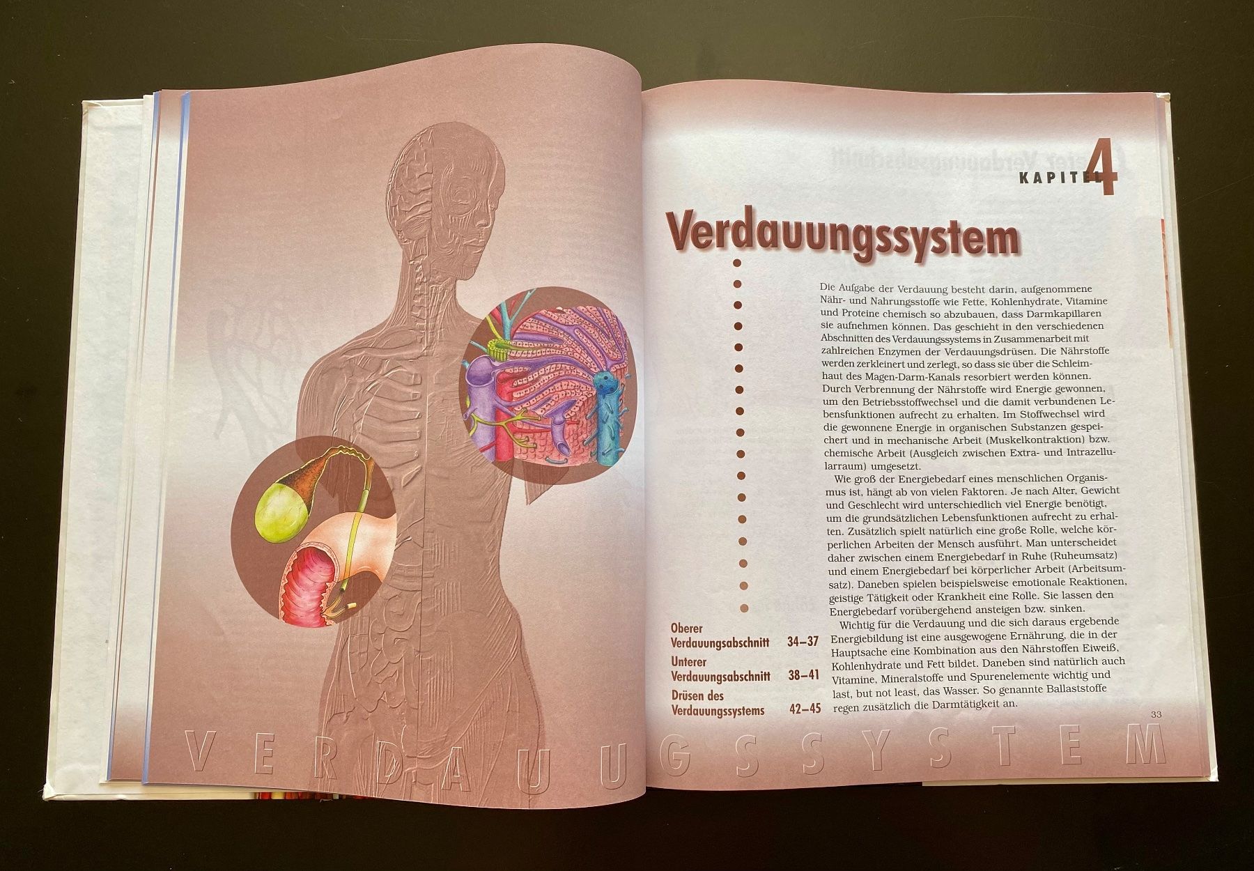 Libri: DER MENSCH / OHNE CD-ROM – Usato da Nussbaumen AG venduto da schuba2000 3