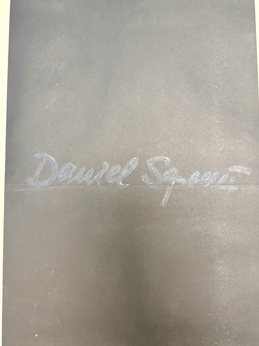Grafica & Litografie: Daniel Spoerri - Offsetdruck handsigniert – Usato da Solothurn venduto da NUVICO 3