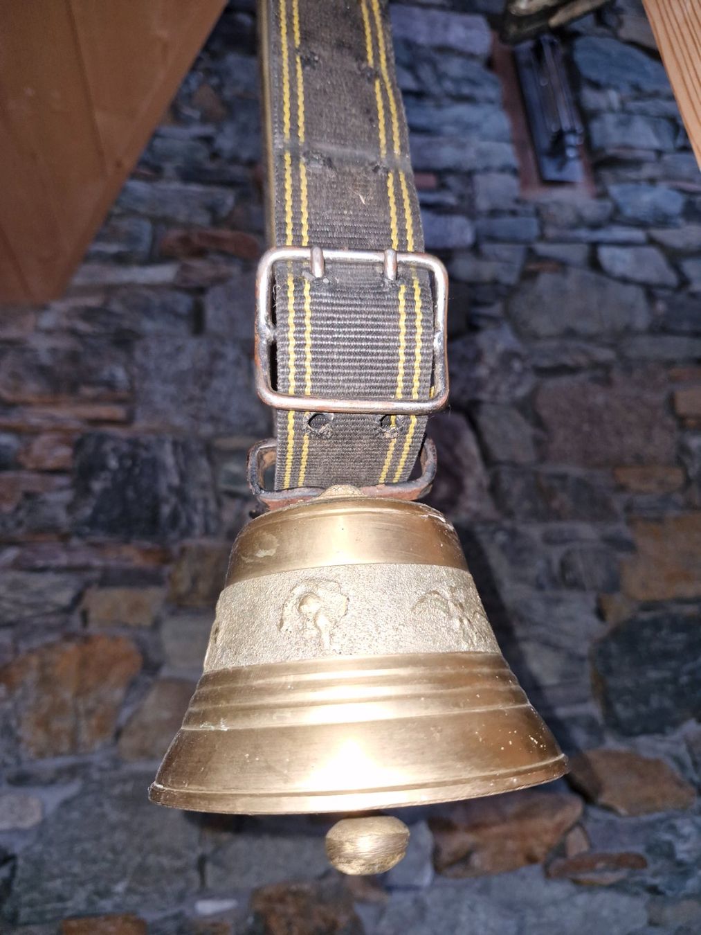 Campanacci mucche: Glocke Treichel – Usato da Guarda venduto da rue_bpd7