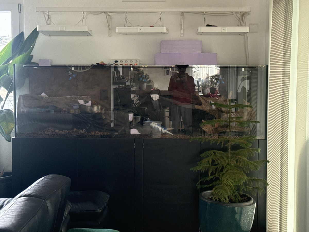Acquari: Salzwasser Aquarium – Nuovo e nell'imballaggio originale da Hildisrieden venduto da ami_9bkh