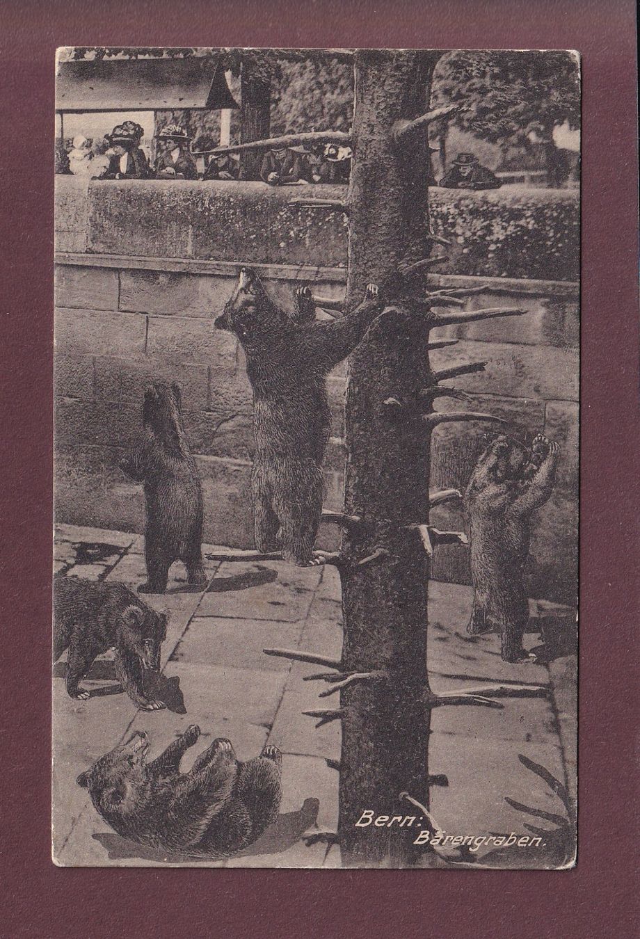 Cartoline postali: BERN - Bärengraben - 1914 – Usato da Pully venduto da nicecards