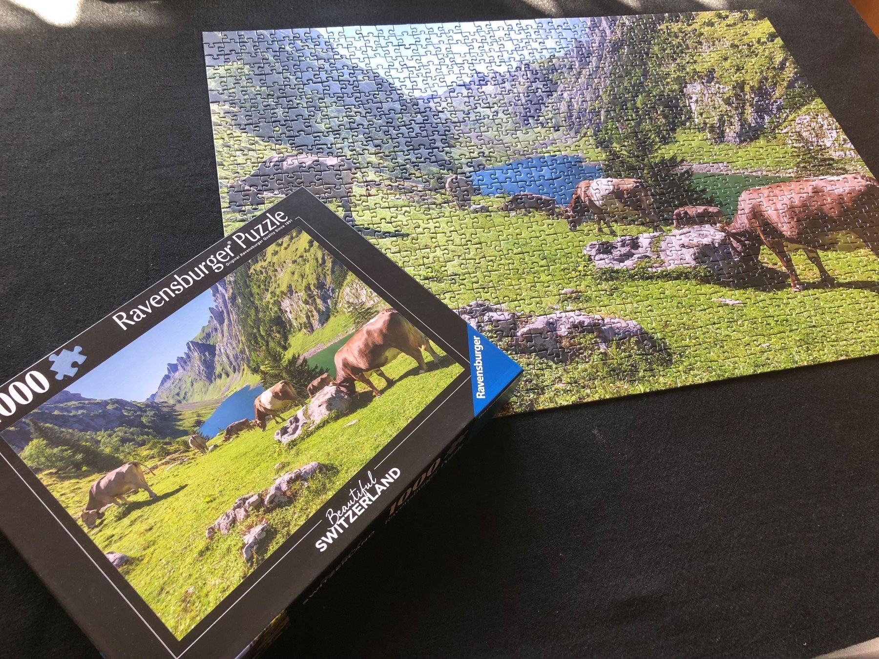 Ravensburger Puzzle: Puzzle (1000) Fählensee – Nuovo (secondo la descrizione) da Gonten venduto da Garn-Liesel