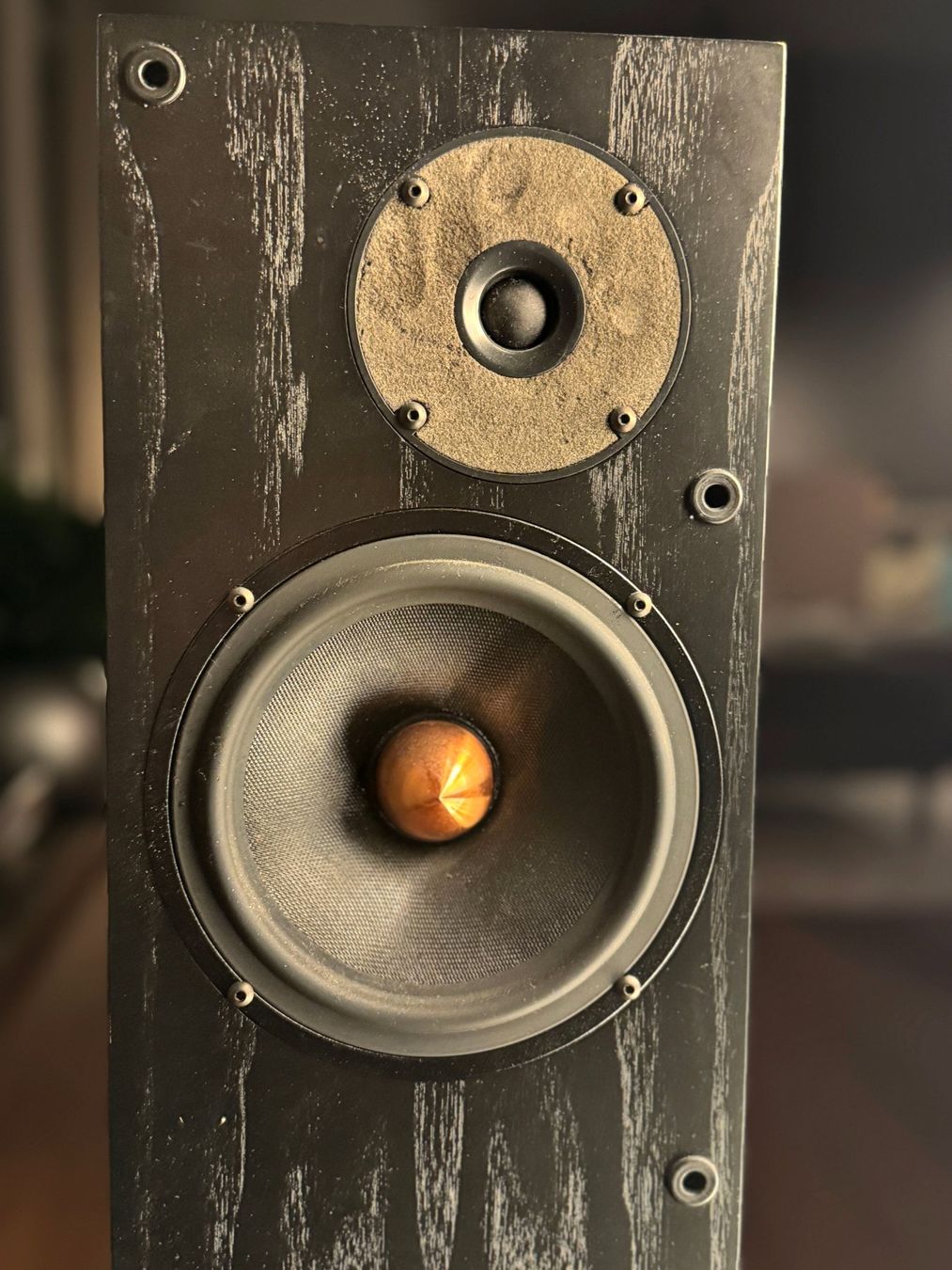 Proac Lautsprecher: ProAc Response 1.5 Lautsprecher, sensationeller Klang – Gebraucht aus Bern von Funkykingdom 2