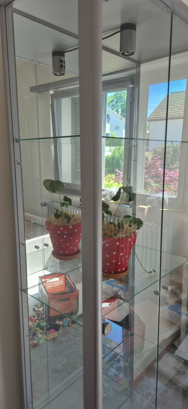 Vetrine: Glasvitrine mit Licht – Usato da frauenfeld venduto da Eflygraffity 2