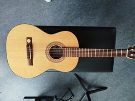 1/2 Gitarre Pro Arte, massive Decke Modell GC75 II