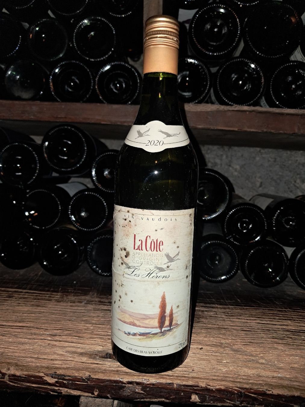 Vino: Les Hérons La Côte AOC 2020  – Nuovo e nell'imballaggio originale da Le locle venduto da juliensaran