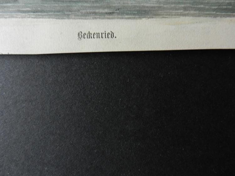 Incisioni: Beckenried Vierwaldstättersee – Usato da Risch venduto da Rischli15 2