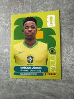 Panini Vinícius Júnior BRA14