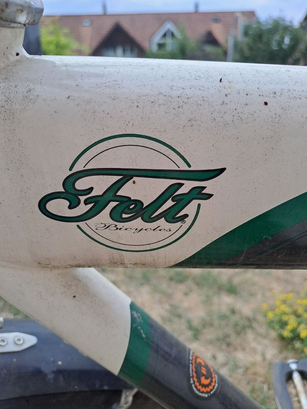 Biciclette: Cruiser / Velo Felt – Usato da Meinisberg venduto da estahawai 1