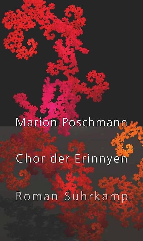 Libri: Marion Poschmann, Chor der Erinnyen – Usato da Liebefeld venduto da Cherub3